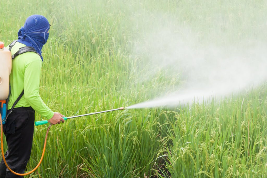 Пестициды приводят к. Пестициды в сельском хозяйстве. Ядохимикаты в сельском хозяйстве. Пестициды и гербициды. Пестициды и агрохимикаты.