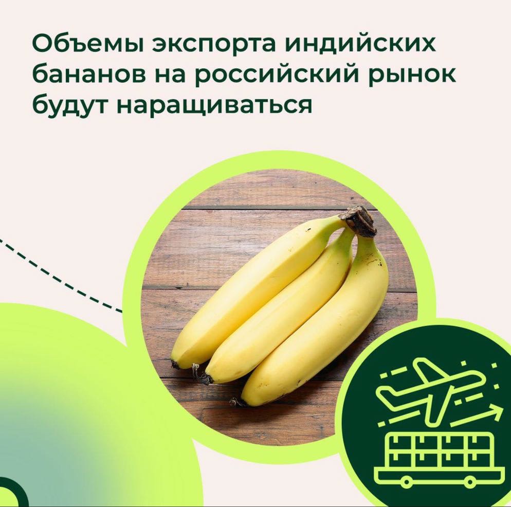 Импорт бананов Индия Россельхознадзор вэд24